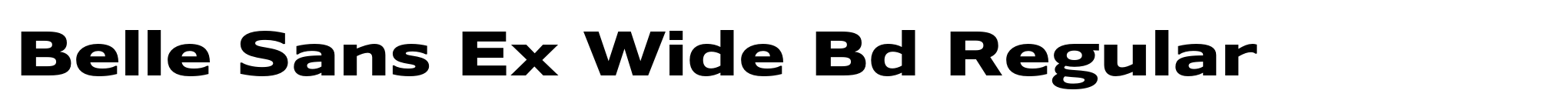 Belle Sans Ex Wide Bd Regular image